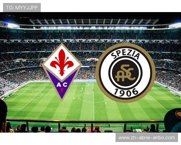 意甲球队财务状况及经济运营分析报告